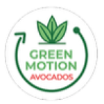 GreenMotion Avocados